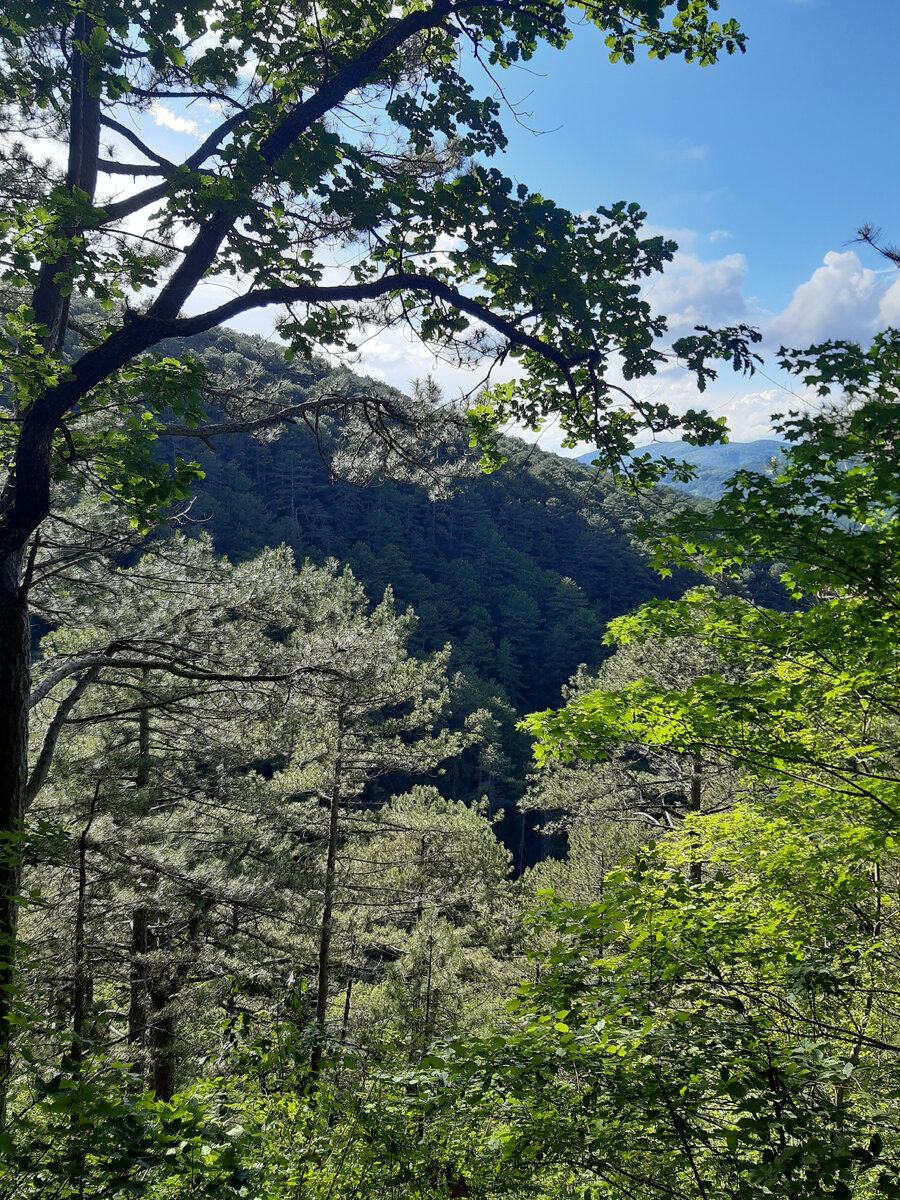 Вид со смотровой площадки