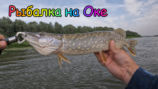 Кирюха на оке видео