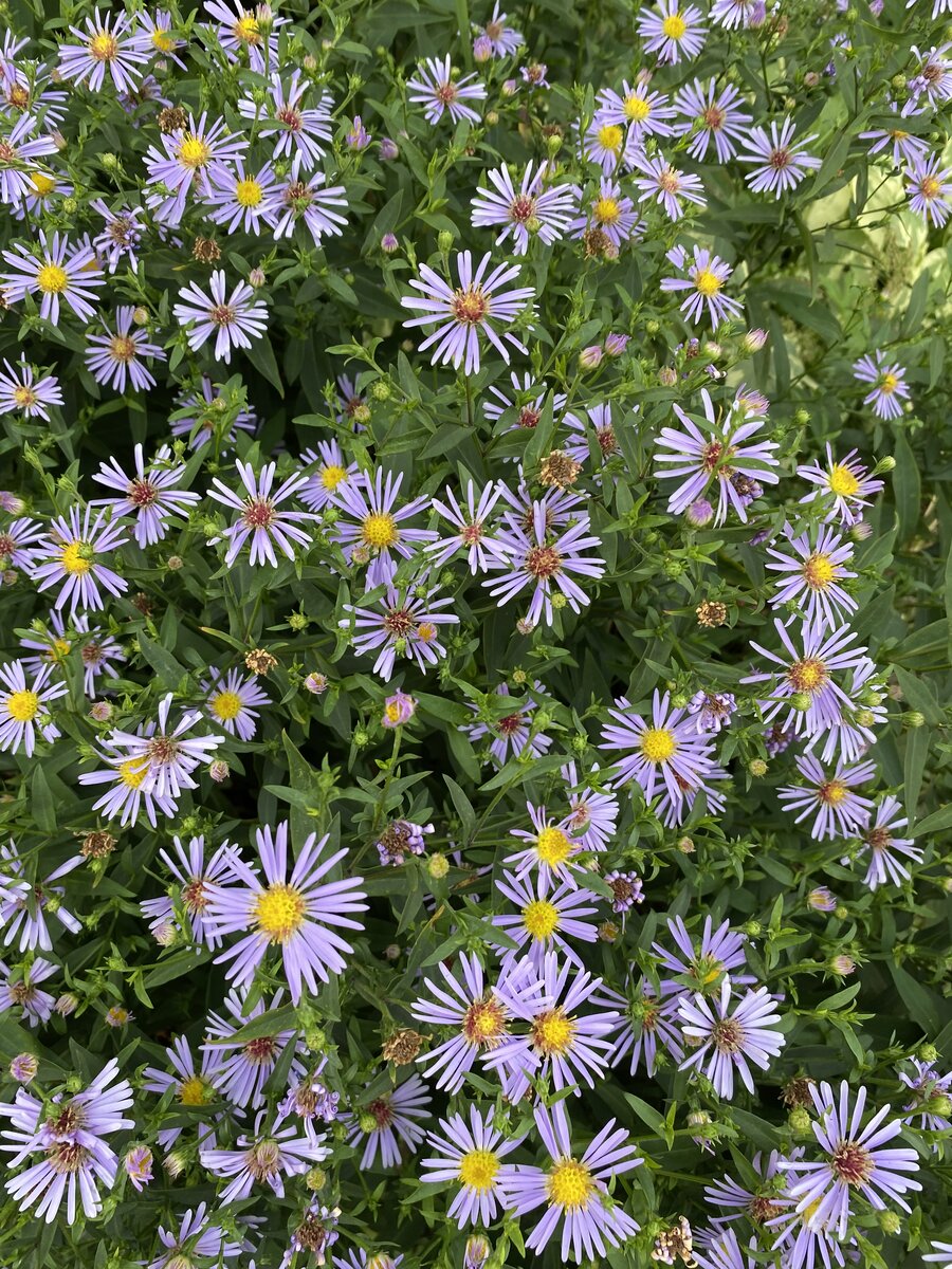 Личное