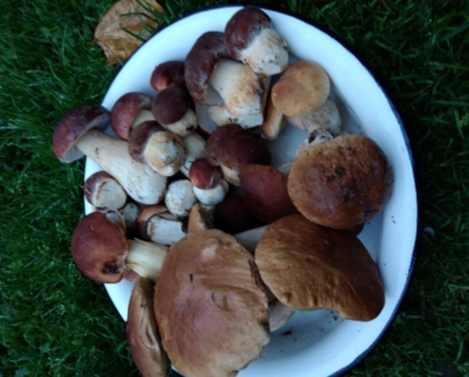 Автор фото Альбина Цанникова