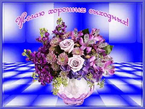 яндекс.картинки