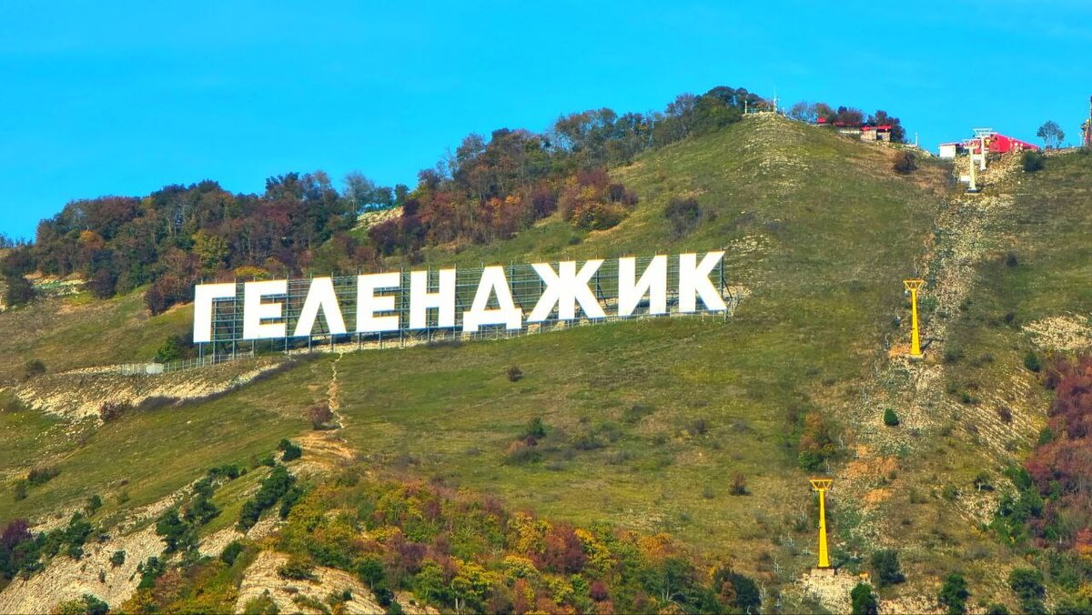 Пальмы в геленджике. Пальмы в Геленджике фото. В Геленджике есть пальмы. Пальма в Геленджике название.