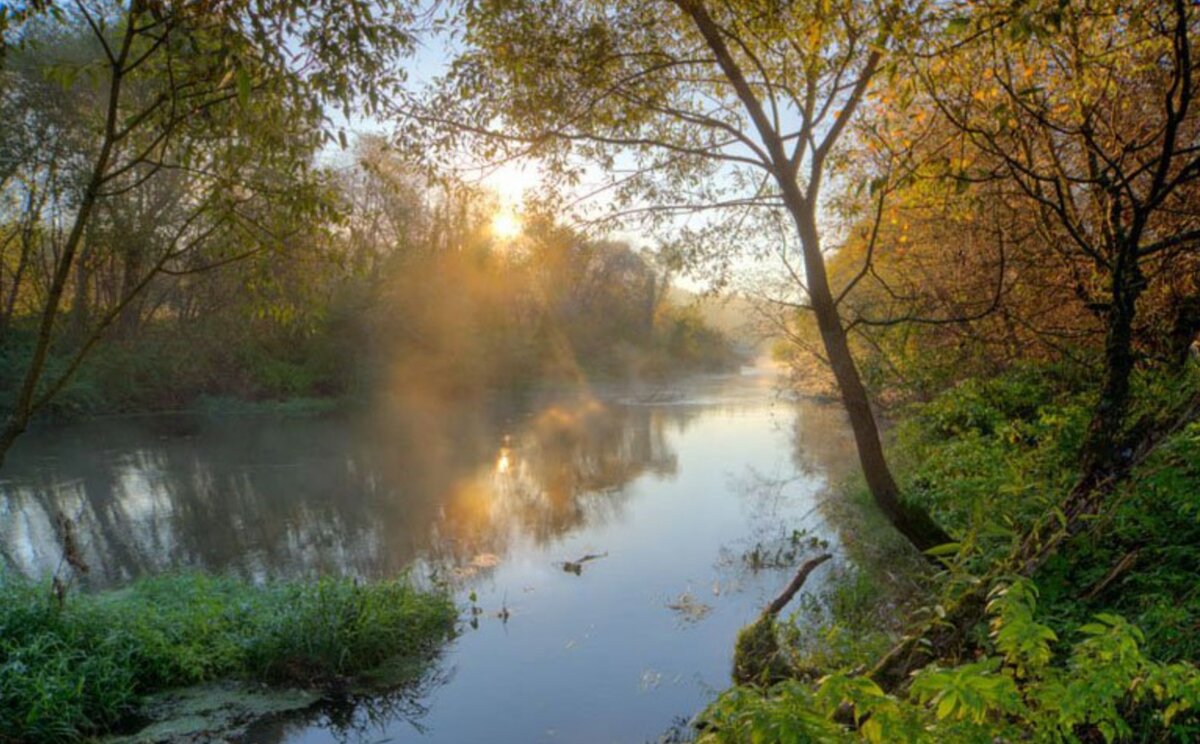 Источник: Яндекс. Картинки. Фото из сети. Река Нара Наро-Фоминск. Наша река Нара . Фотографии и пейзажи. Неизвестный.