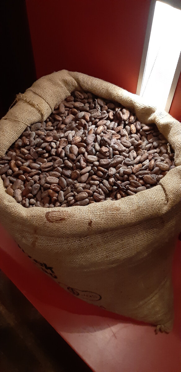 Доминиканское богатство какао-бобы.