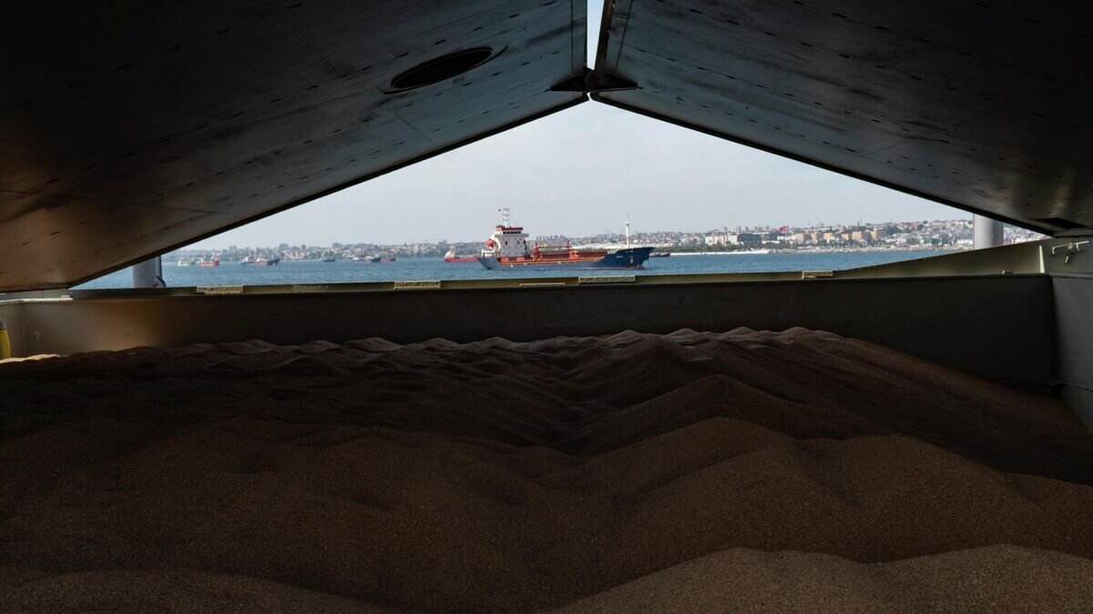    Cудно с зерном "Nord Vind" перед досмотром в Стамбуле© AFP 2022 / Yasin Akgul