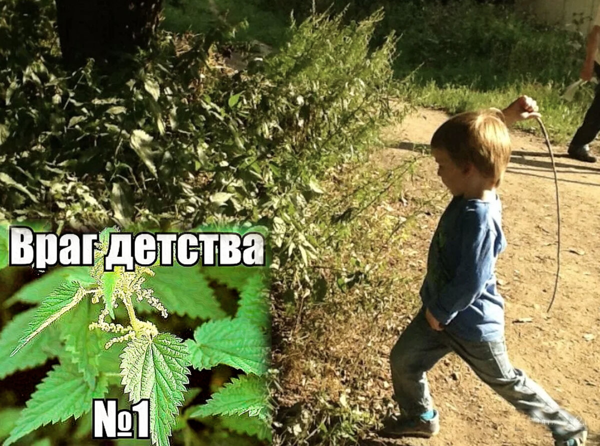 Фото с просторов интернета