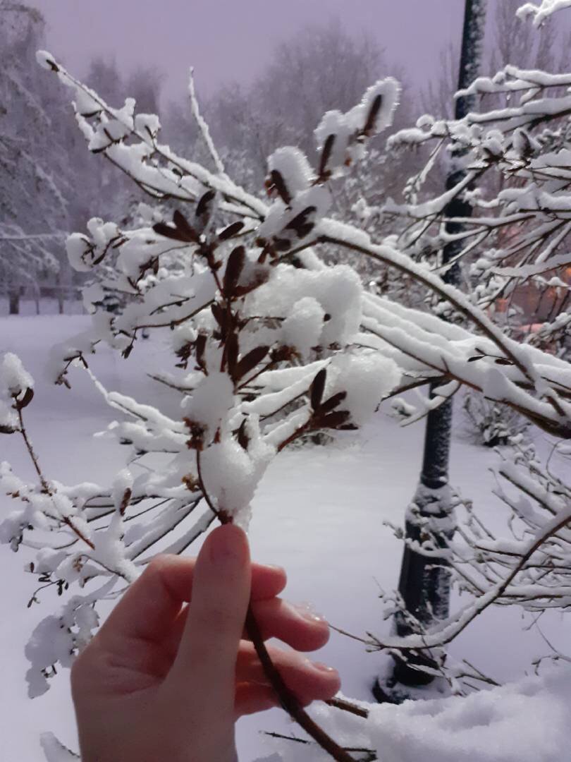 Фото из личного архива.