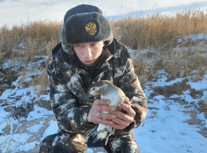    Фото: centralsib.com