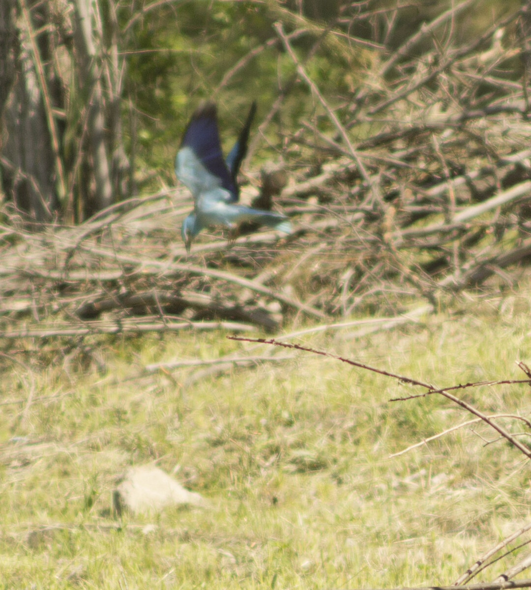 Да, я храню и такие кадры, по ним хорошо уточнять некоторые технические и анатомические моменты