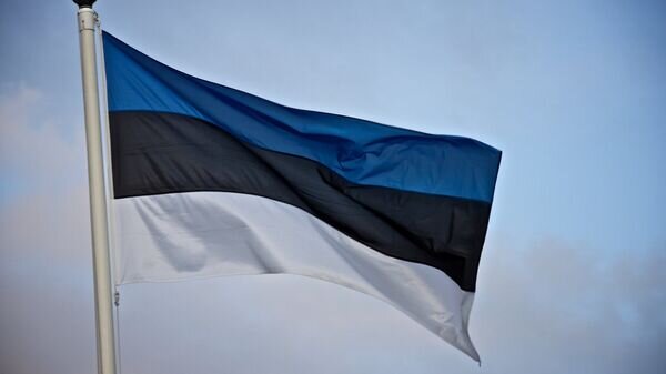   CC BY-SA 2.0 / Ville Säävuori / Estonian Flag