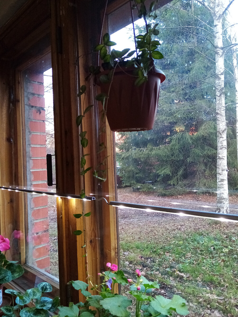 Фото автора.