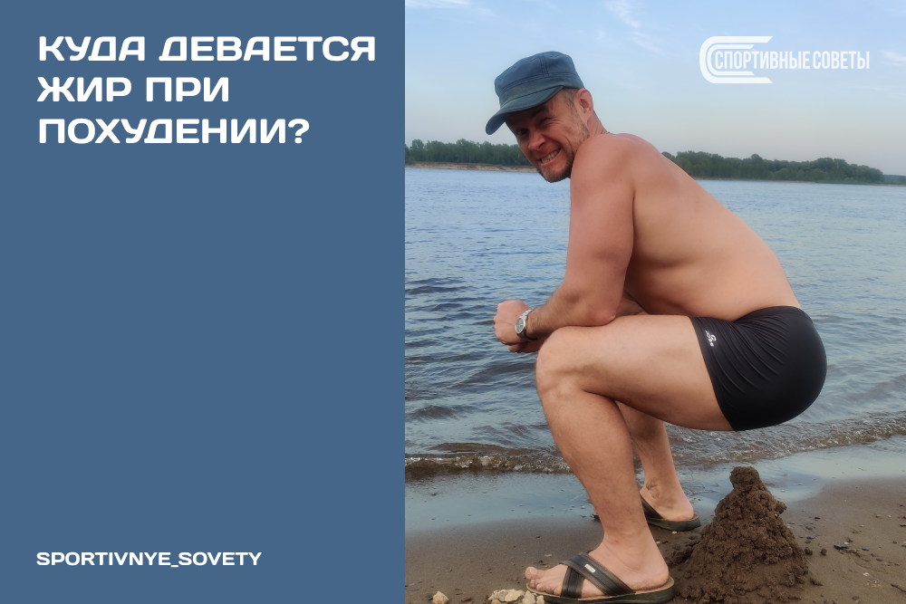 Соотношение мышц и жира у женщин. Куда девается жир. Жир уходит. Куда девается жир. Куда уходит жир похудение.