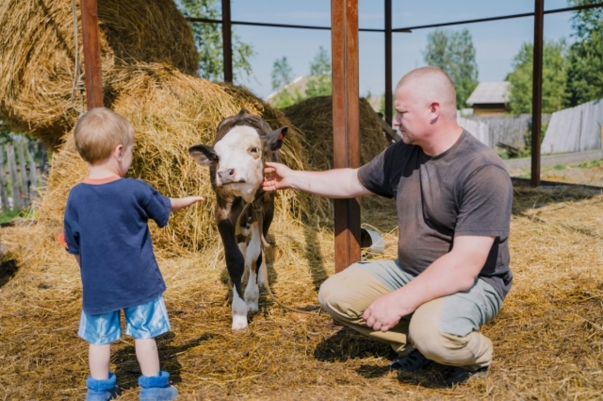    Фото для иллюстрации.