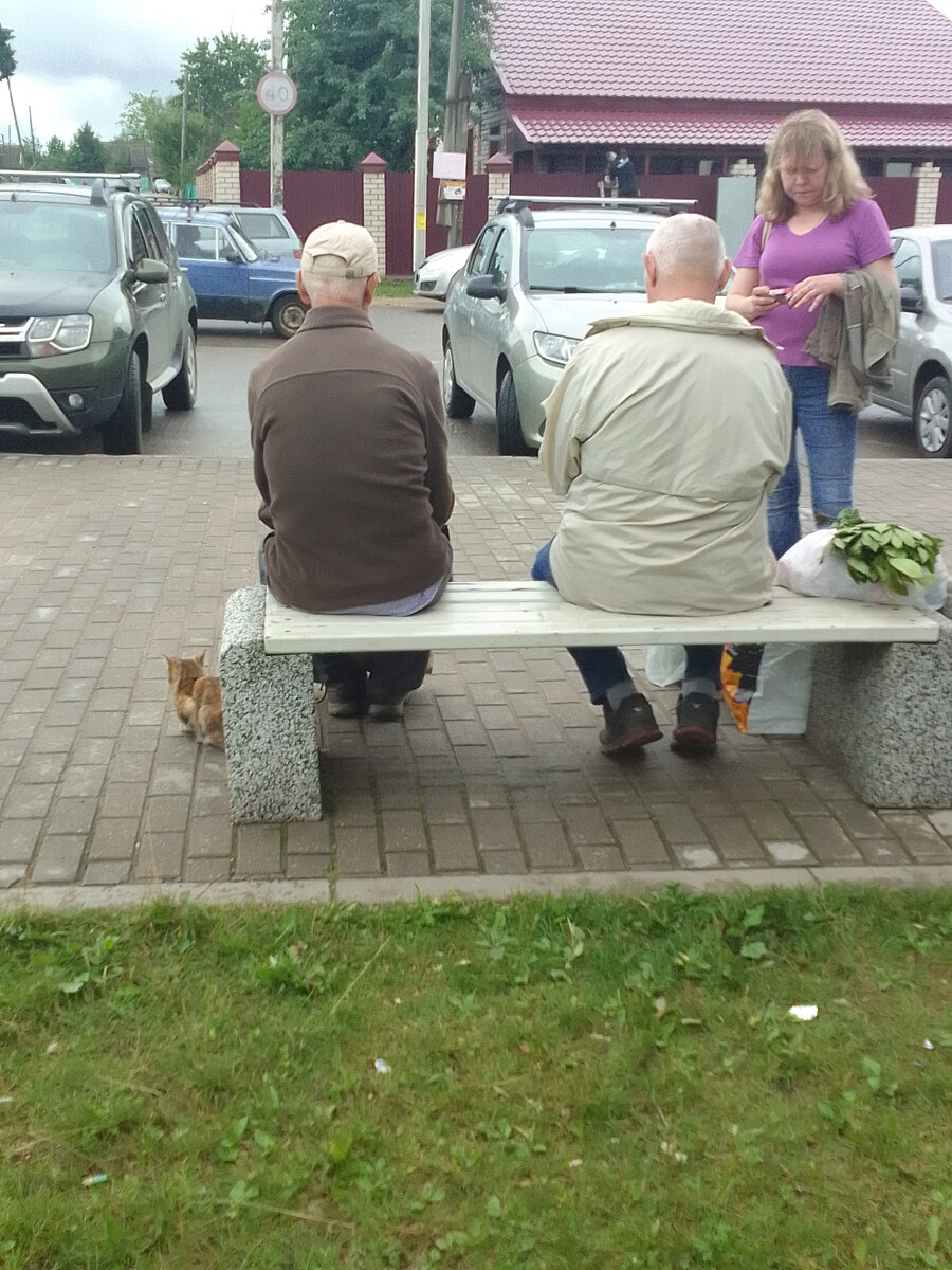 Немного о городе Санкт- Петербурге и два слова о Кувшиново Тверской  области... | Рюкза-чок | Дзен