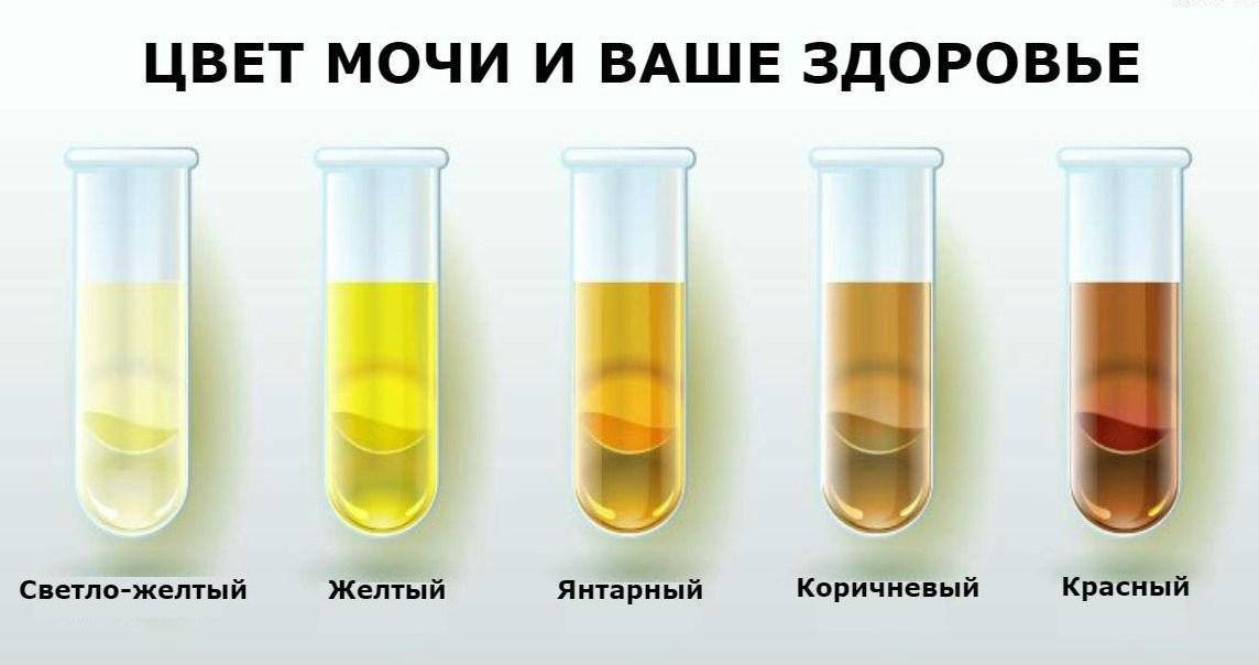 -4