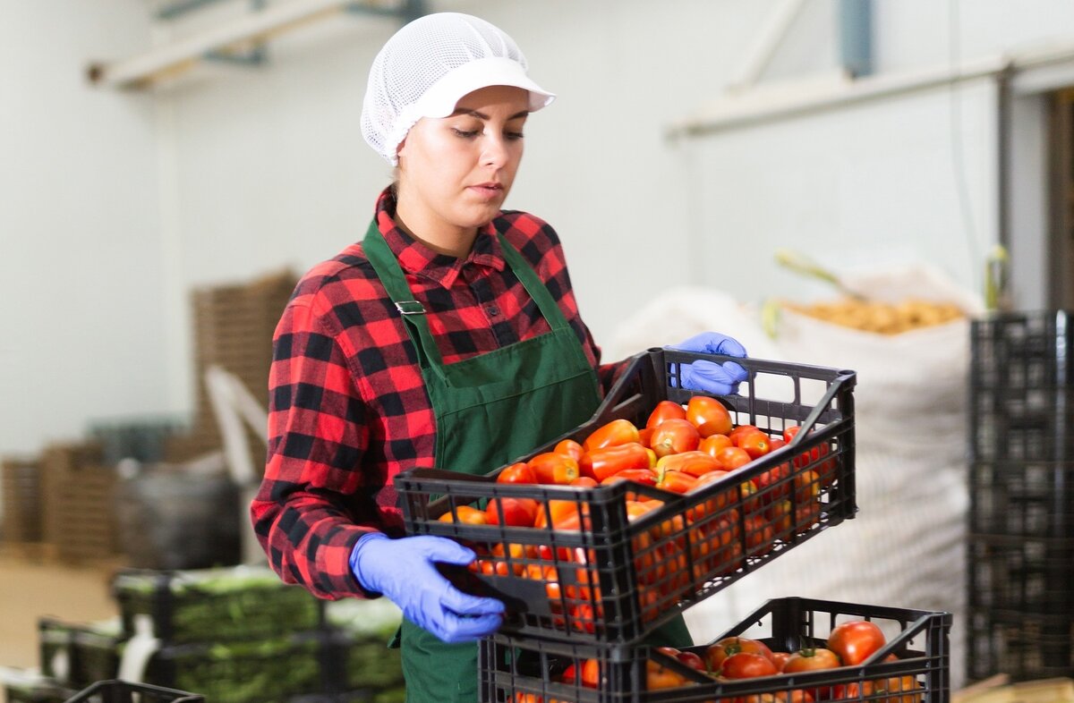 Как проверяют качество овощей и фруктов? | TopFrame — сюрвейерские ...