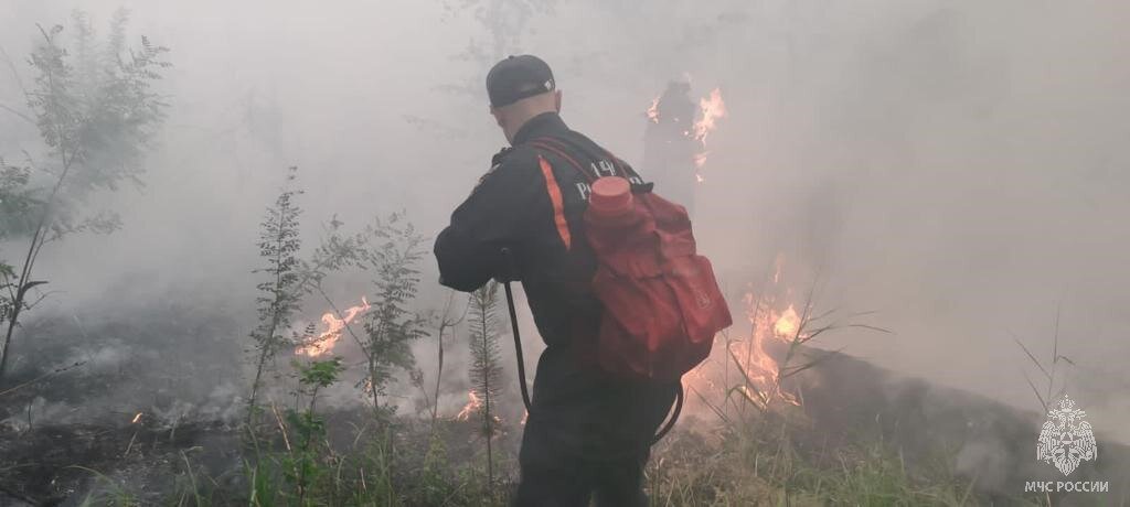 ФОТО: ГУ МЧС России по Алтайскому краю 