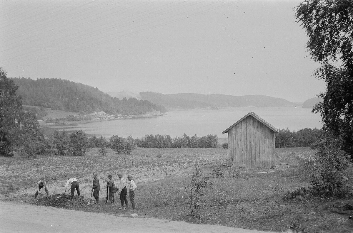 Залив 26 июля 1941 года.