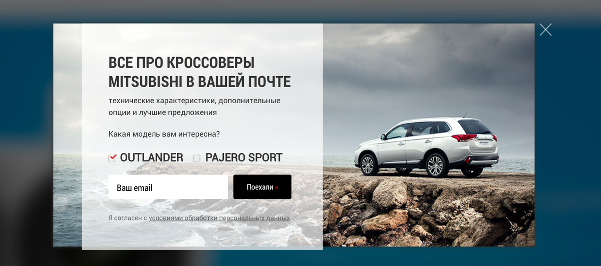 Компания Mitsubishi в форме подписки предлагает сразу выбрать одну из двух интересующих категорий