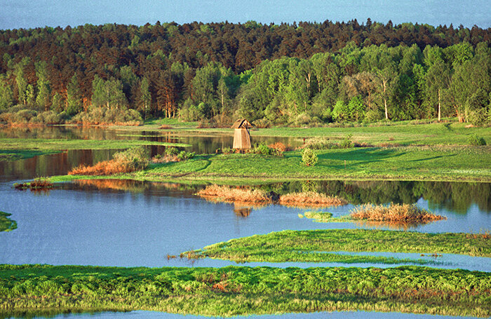    Псковская область. На территории Государственного музея-заповедника А. С. Пушкина «Михайловское».Юрий Белинский/ТАСС
