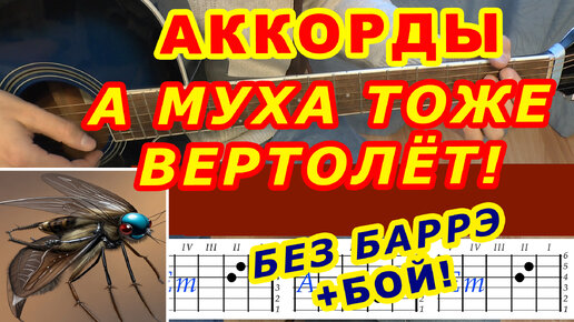 А МУХА ТОЖЕ ВЕРТОЛЕТ Аккорды 🎸 БЕЗ БАРРЭ ♪ Разбор песни на гитаре ♫ Гитарный бой для начинающих