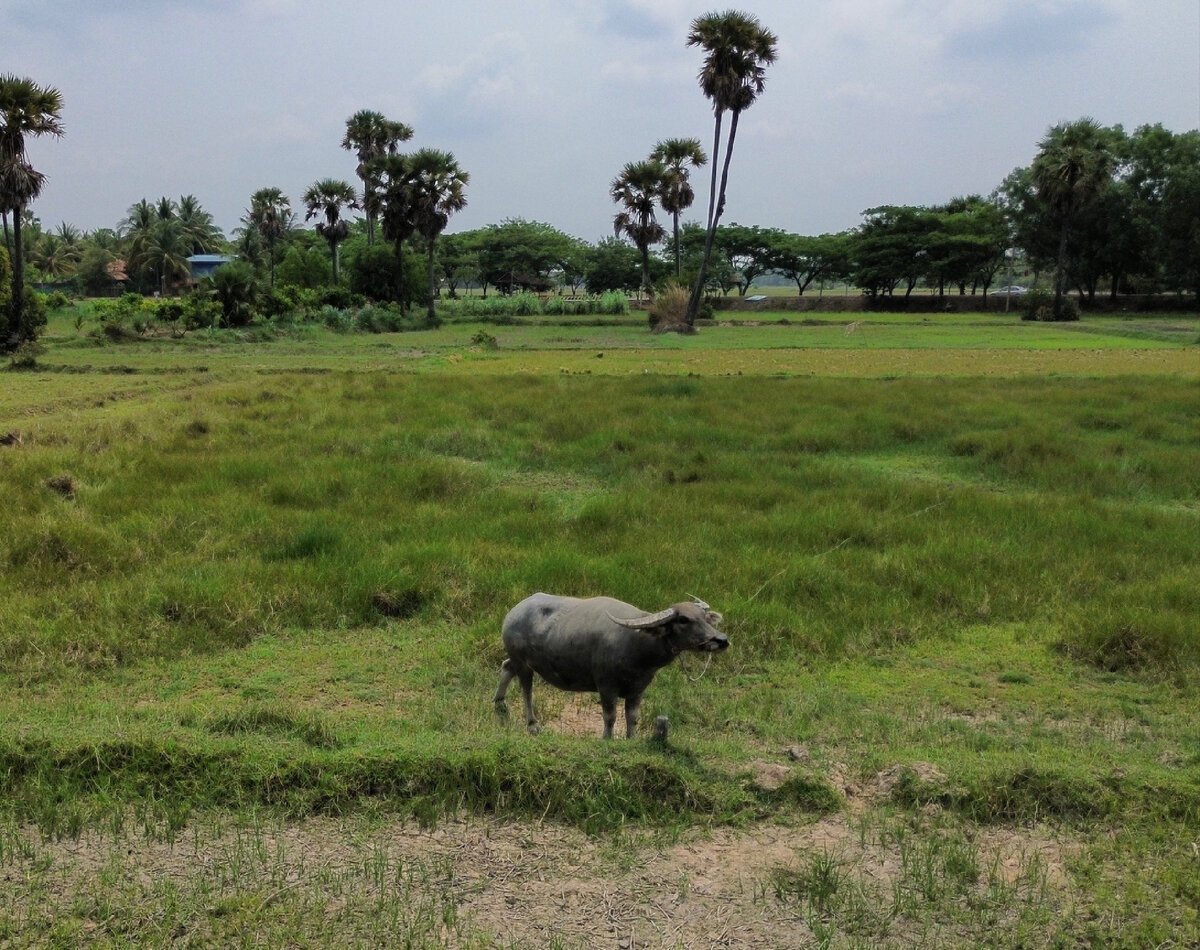 Она была у меня в роликах