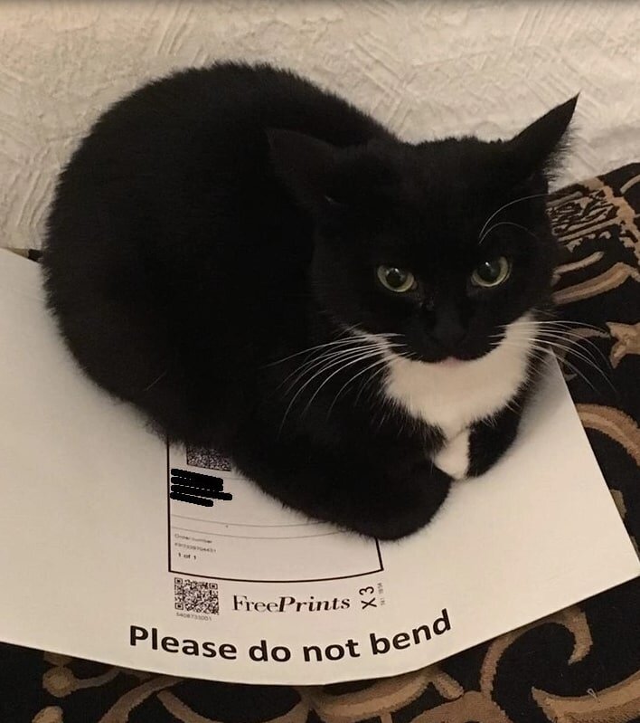 Первая картинка