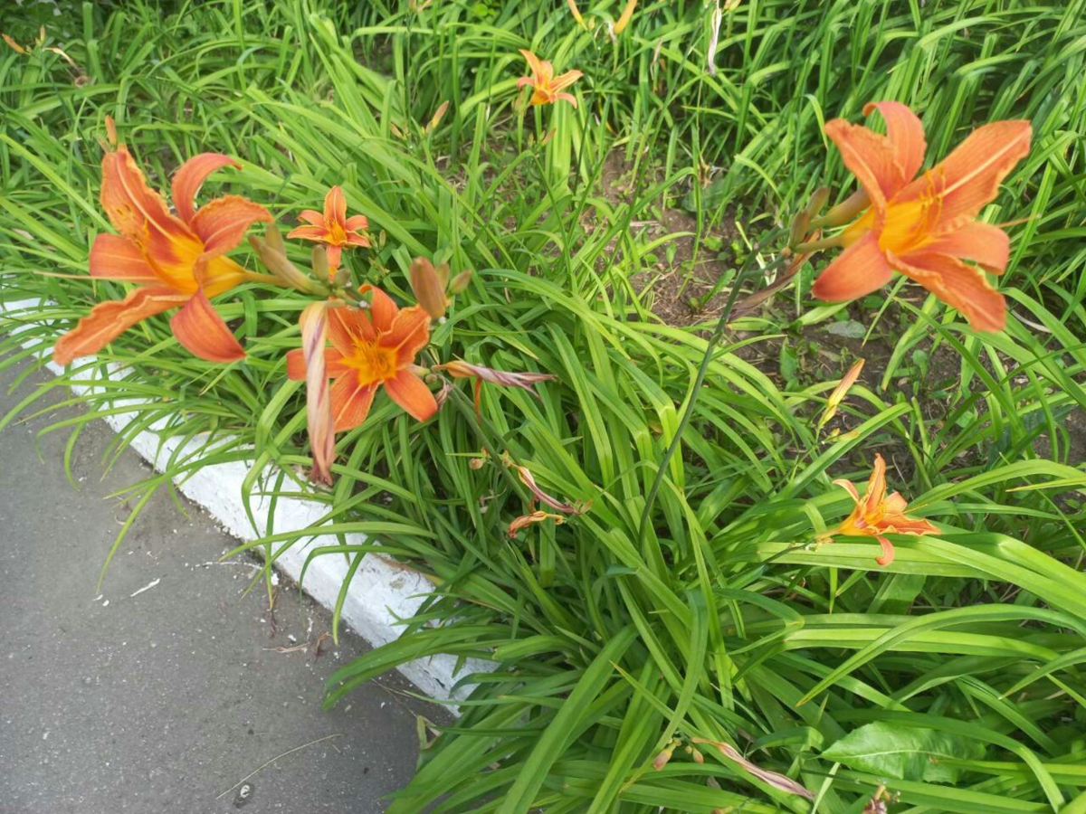 Фото автора.