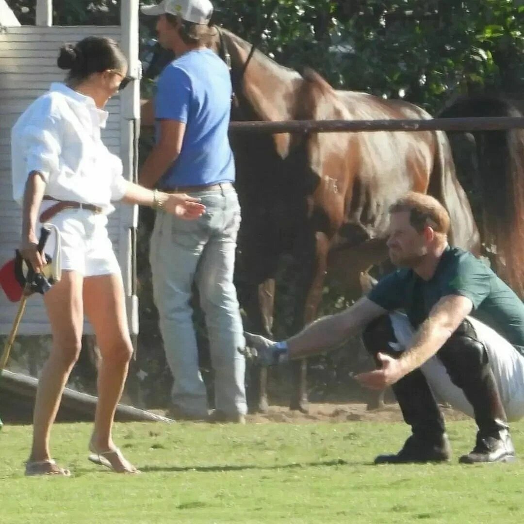 Фото из сети Интернет