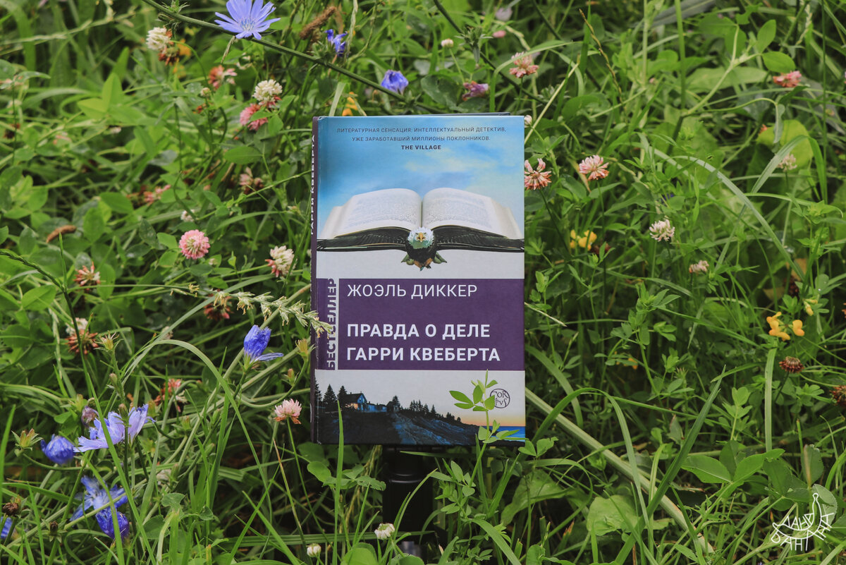 Вторая половина неоправданно толстого романа написана чуть лучше (видно, постарались литрабы/ гострайтеры), но разумности от того не прибавилось
