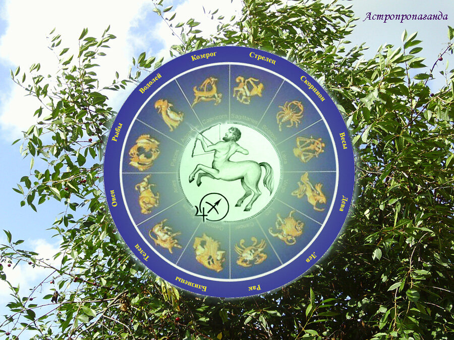 Коллаж Нины Стрелковой. 