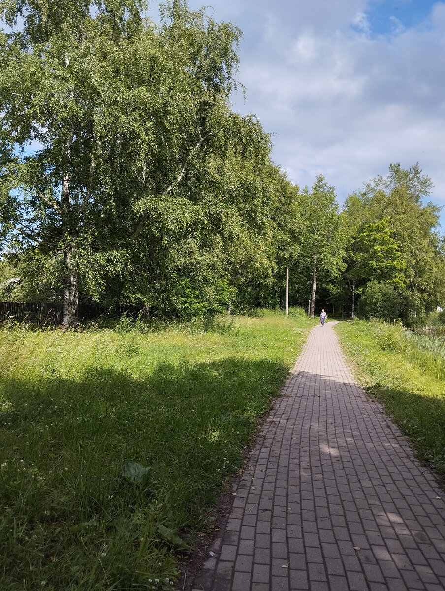 Тропинка в Парке. А какой там воздух, ребята