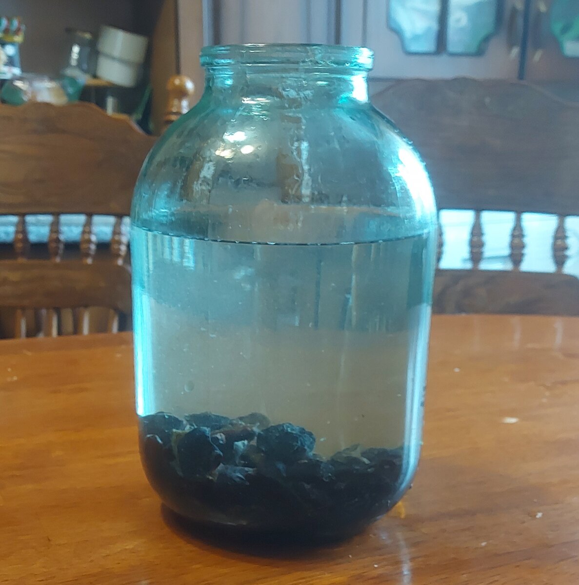 Фото из личного архива настойки на черносливе.