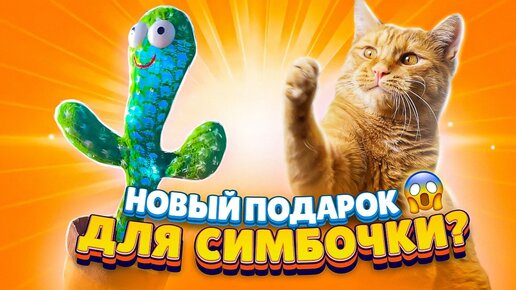Новый подарок для Симбочки 😱 Подборка смешных видео | Симбочка Пимпочка ...