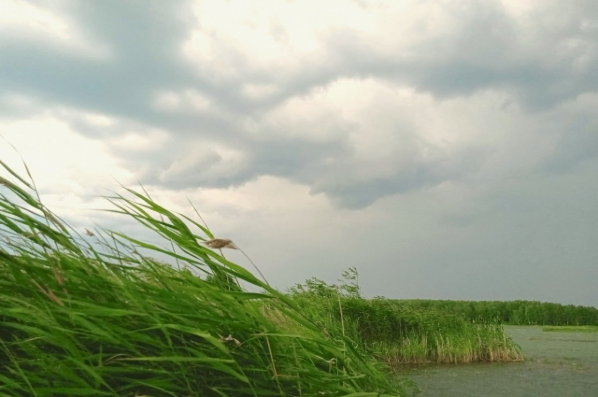    В Самарской области местами в ожидается гроза, ливень, град порывисты ветер