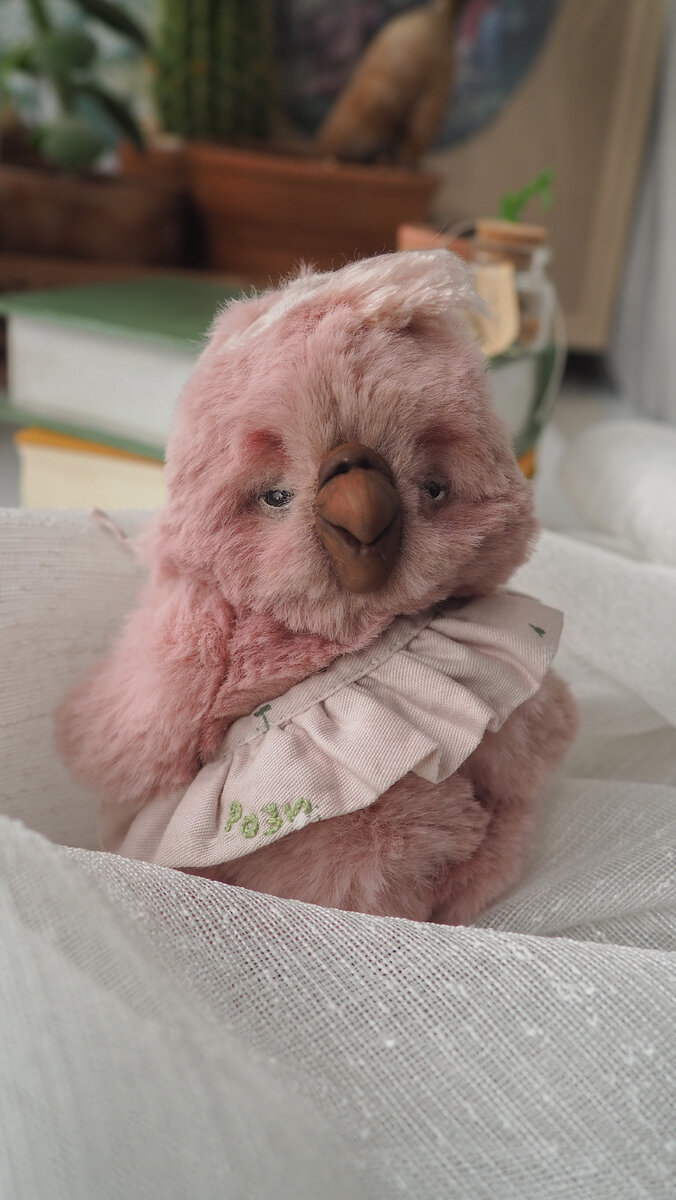 Имя: Попугай Рози 
День рождения: 25 июля.
Рост: 11 см. сидя
Стоимость 4900.
Особенность: Гнущиеся пальчики.