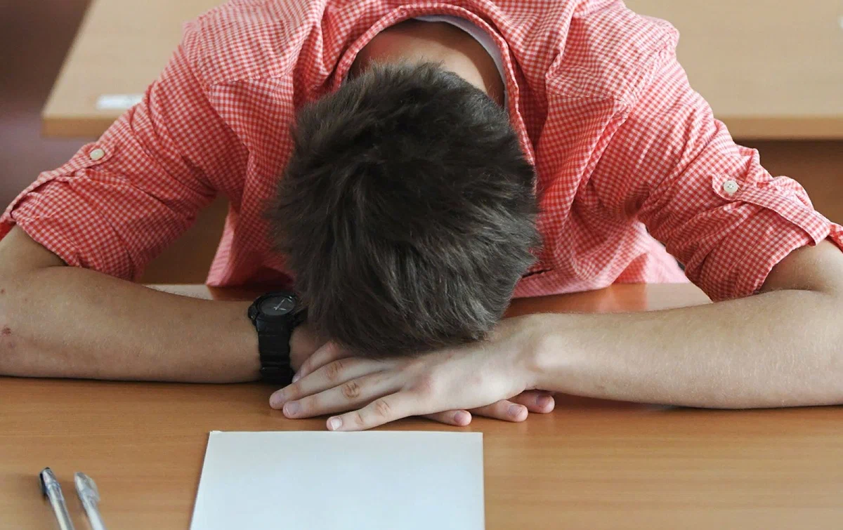 Яндекс картинки