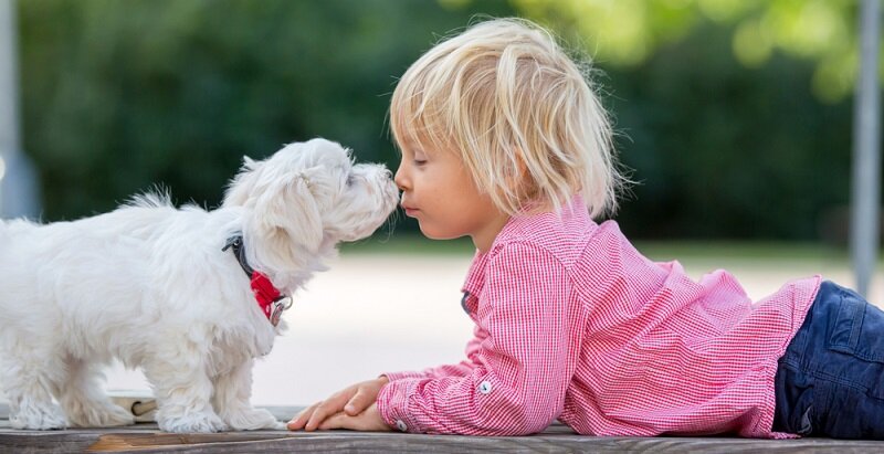 Изображение взято из открытого источника