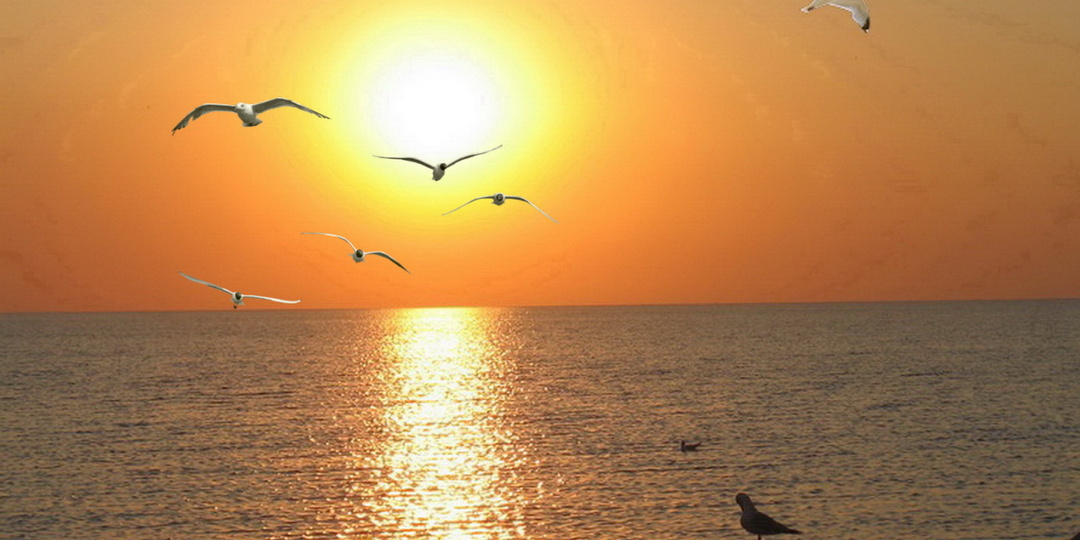 Волшебные откровения: что Вселенная готова раскрыть нам завтра, 15.09.2023?!