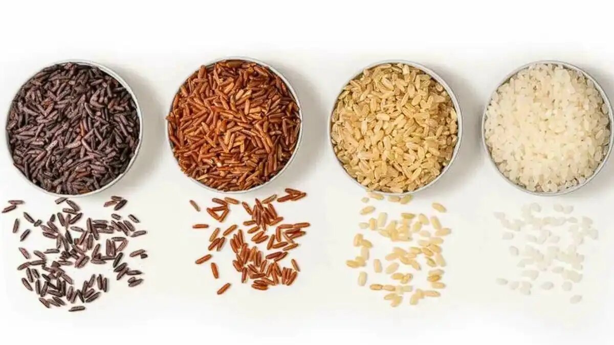 Фото:dzeninfra.ru