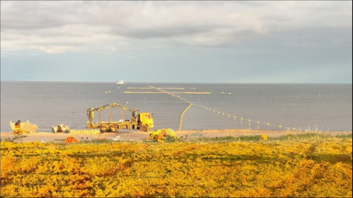 невод в море