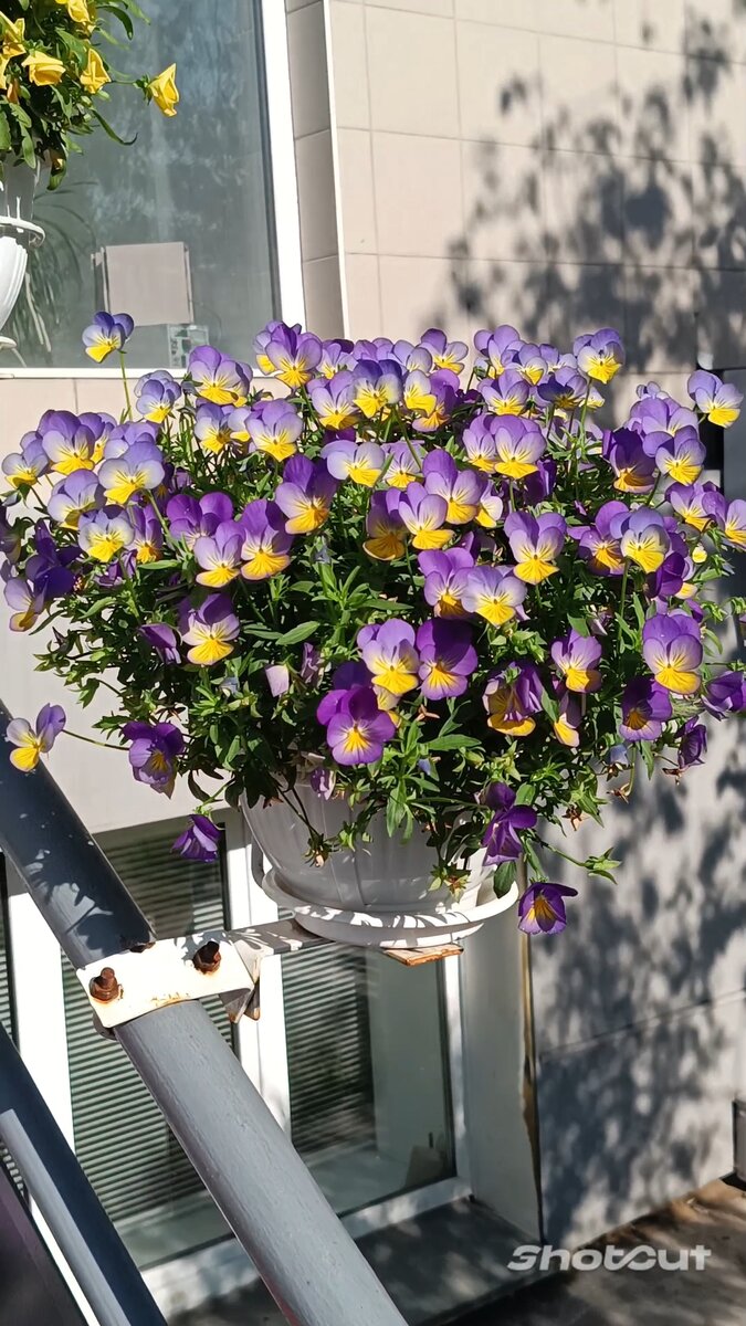 Фото автора статьи. 