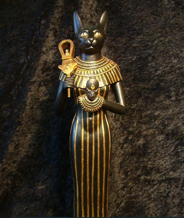 фото из открытого доступа