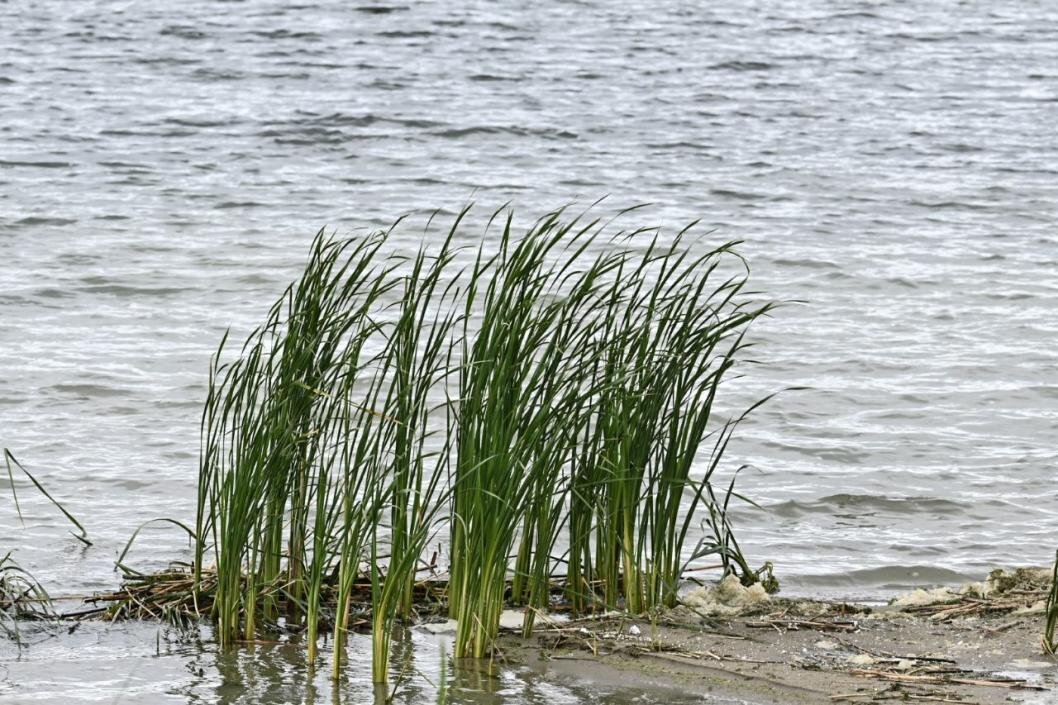 Фото: Сергей Елесин, ИА "Тюменская линия"