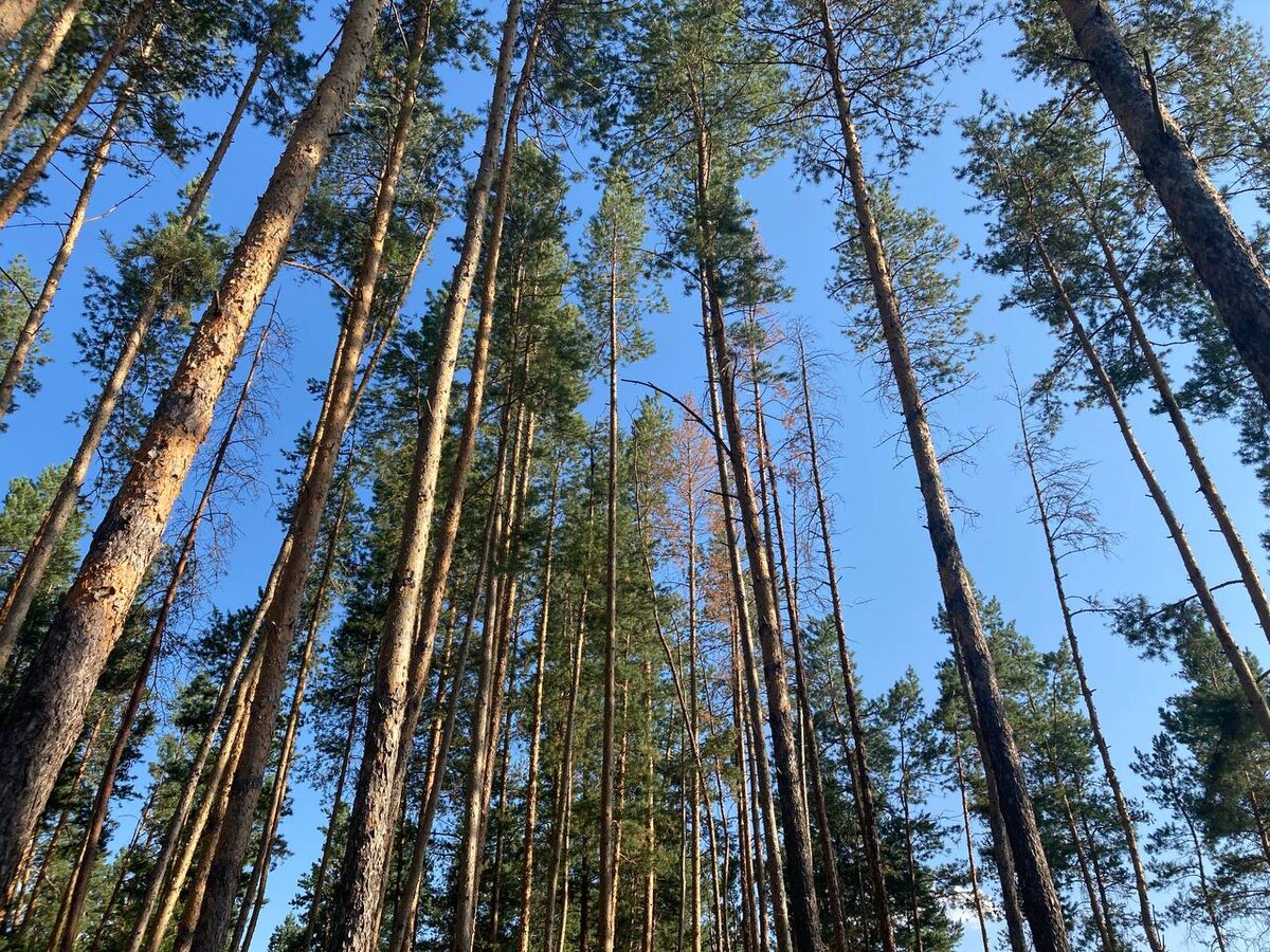Фото из личного архива