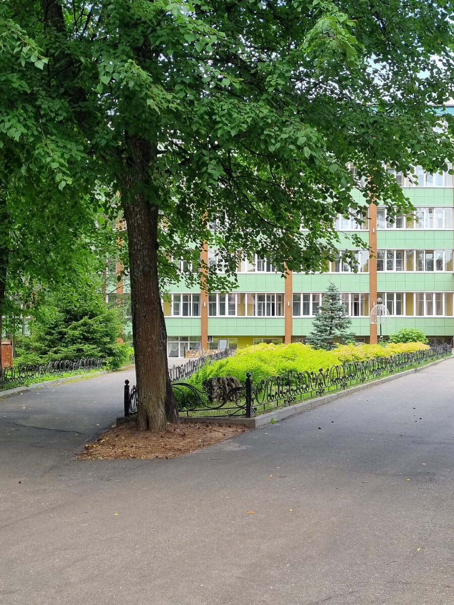 Курорт "Оболсуново". Фото автора. 