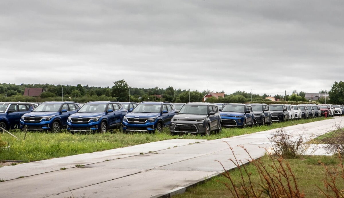 В Калининграде нашли стоянку с сотнями некомплектных автомобилей Киа.  Откуда они взялись? | WROOM | Дзен