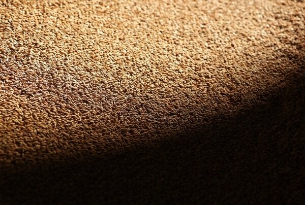 Фото: РИА Новости/Виталий Тимкив