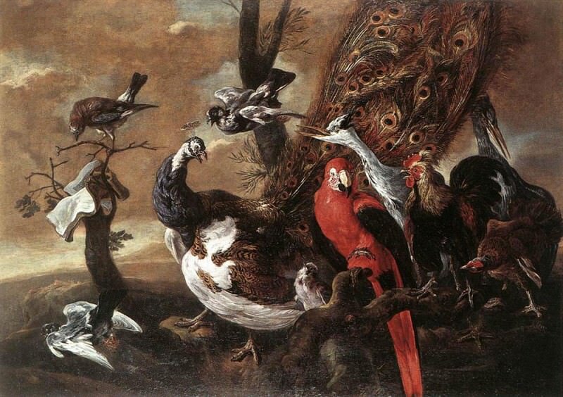 «Птичий концерт», Ян Фейт