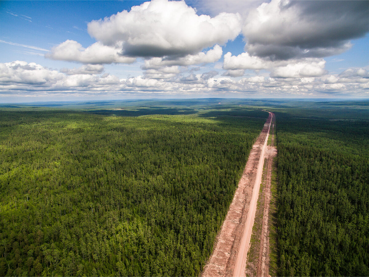 Завод посреди тайги: как такое возможно? 🌲 | Первый Байкальский.  Путешествия и экология | Дзен